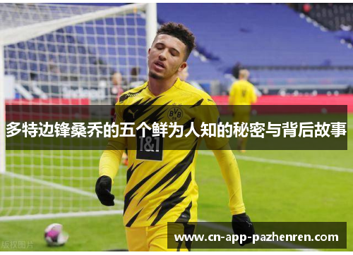 多特边锋桑乔的五个鲜为人知的秘密与背后故事