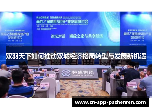 双羽天下如何推动双城经济格局转型与发展新机遇