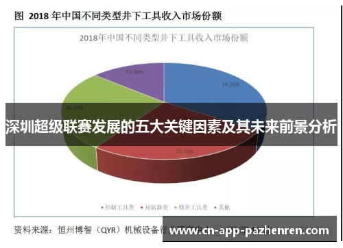 深圳超级联赛发展的五大关键因素及其未来前景分析