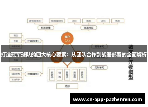打造冠军球队的四大核心要素：从团队合作到战略部署的全面解析