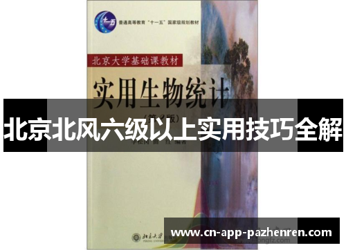 北京北风六级以上实用技巧全解