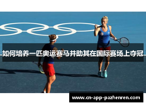 如何培养一匹奥运赛马并助其在国际赛场上夺冠
