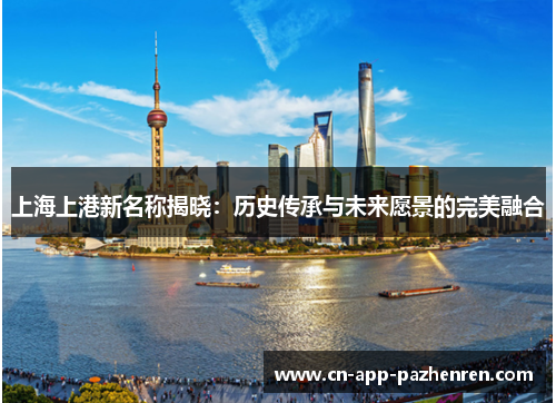 上海上港新名称揭晓：历史传承与未来愿景的完美融合
