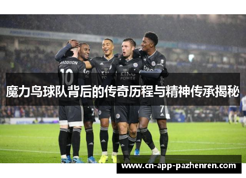 魔力鸟球队背后的传奇历程与精神传承揭秘