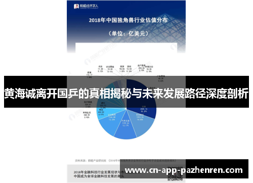 黄海诚离开国乒的真相揭秘与未来发展路径深度剖析