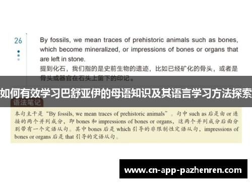 如何有效学习巴舒亚伊的母语知识及其语言学习方法探索 如何有效学习巴舒亚伊的母语知识及其语言学习方法探索