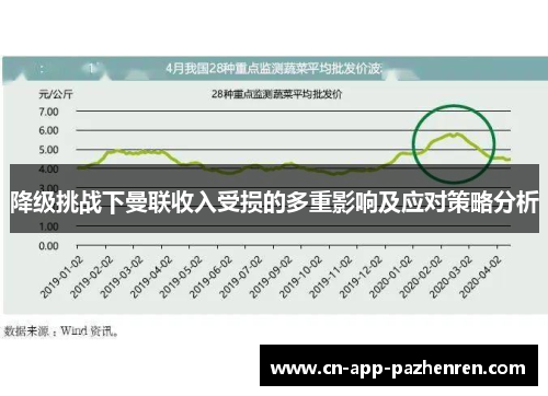 降级挑战下曼联收入受损的多重影响及应对策略分析 降级挑战下曼联收入受损的多重影响及应对策略分析