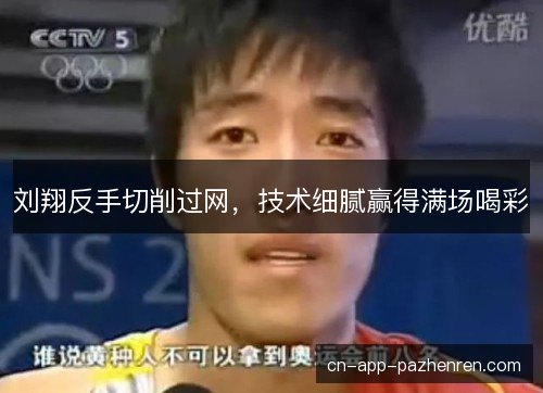 刘翔反手切削过网,技术细腻赢得满场喝彩 刘翔反手切削过网,技术细腻赢得满场喝彩